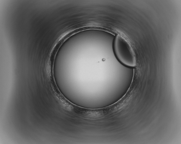 X0000116460931200912161229