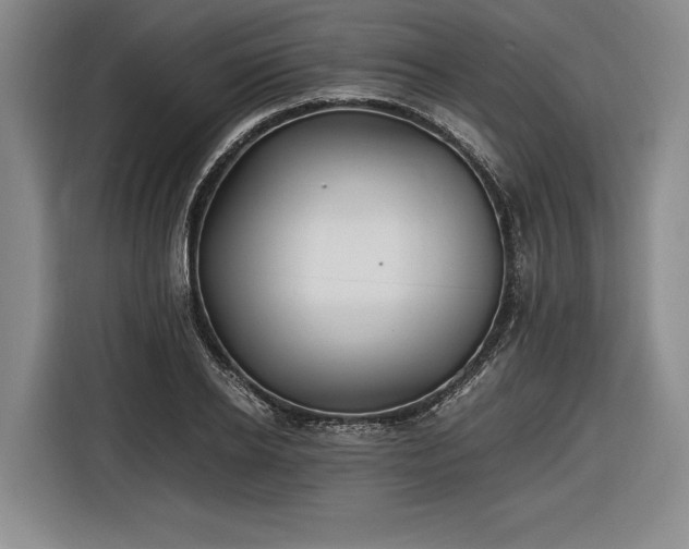 X0000116460934200912161229