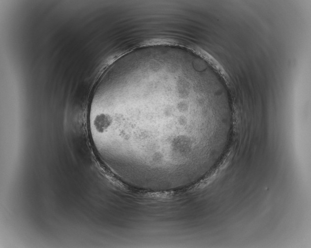 X0000116460937200912161229