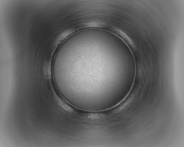 X0000116460938200912161229