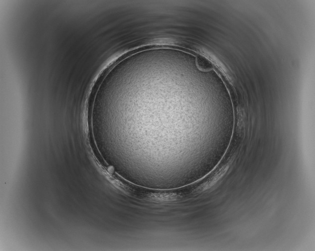 X0000116460939200912161229