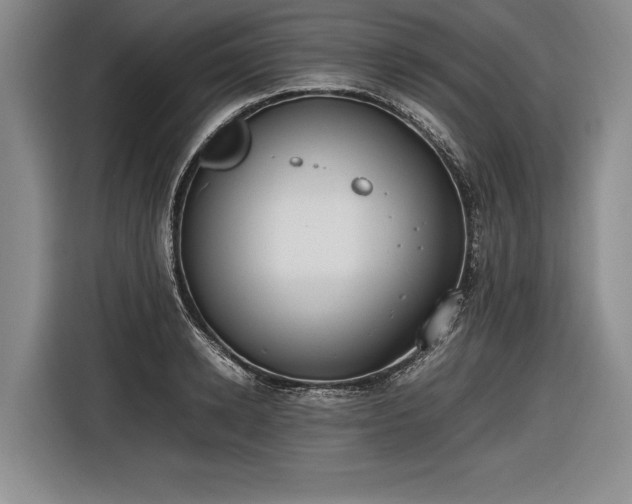 X0000116460942200912161229