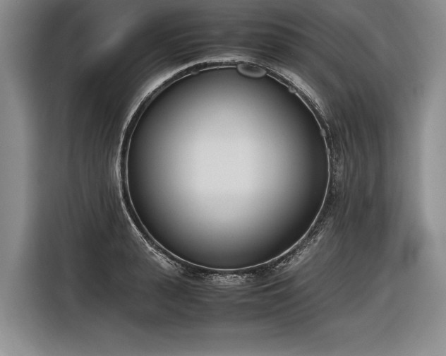 X0000116460943200912161229