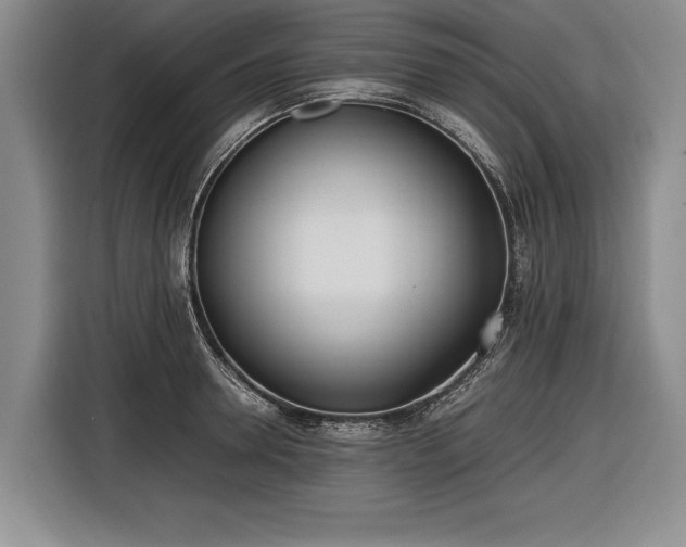 X0000116460946200912161229
