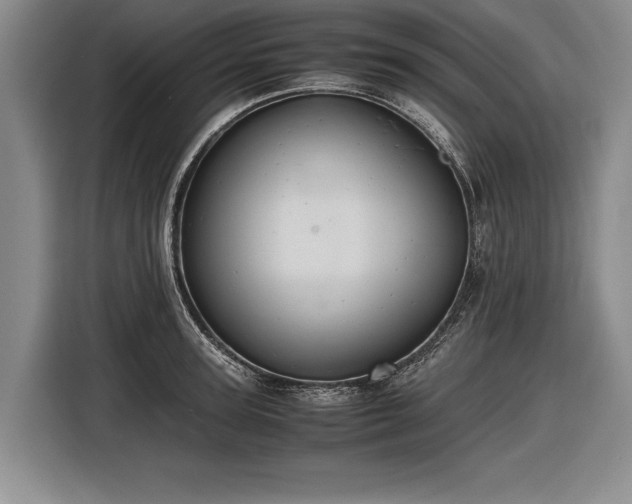 X0000116460947200912161229
