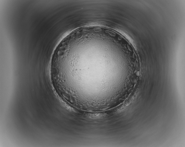 X0000116460949200912161229