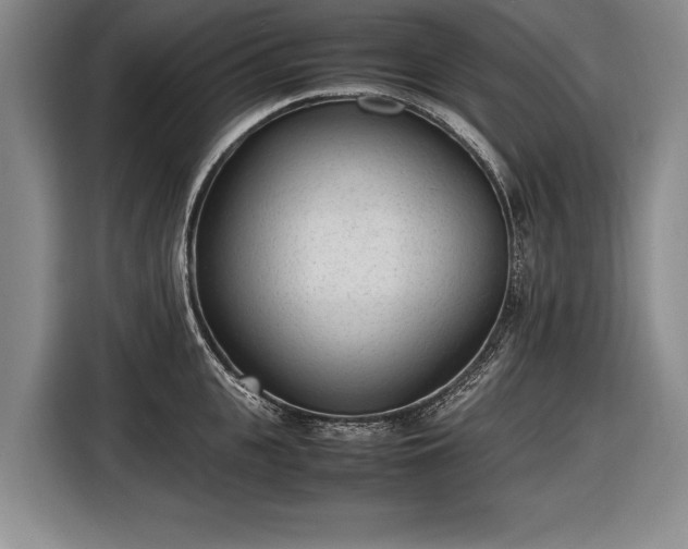 X0000116460951200912161229