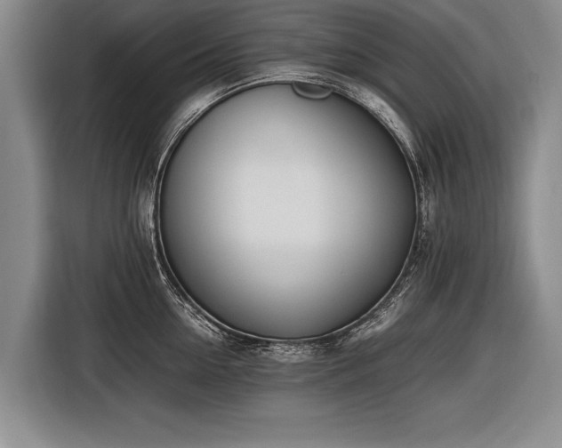 X0000116460954200912161229