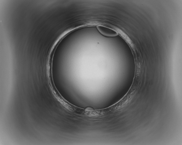 X0000116460955200912161229