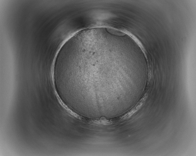 X0000116460957200912161229
