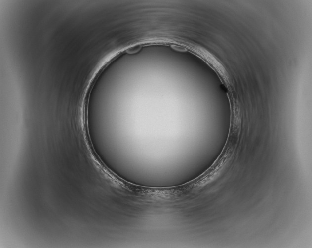 X0000116460958200912161229