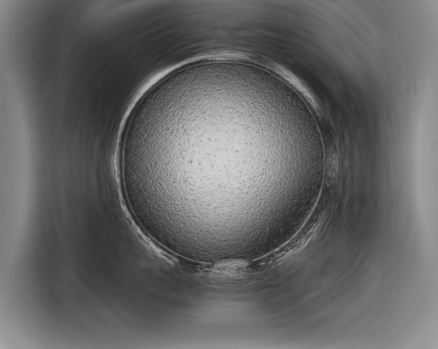 X0000116460959200912161229