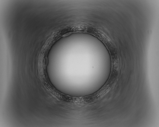 X0000116460961200912161229