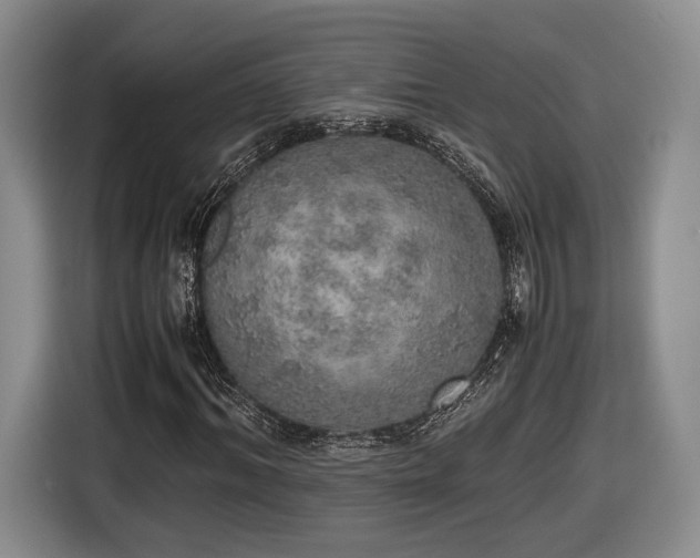 X0000116460964200912161229