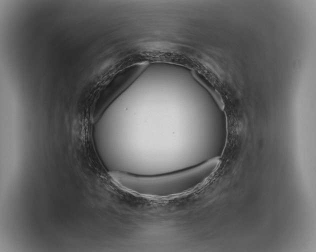 X0000116460965200912161229