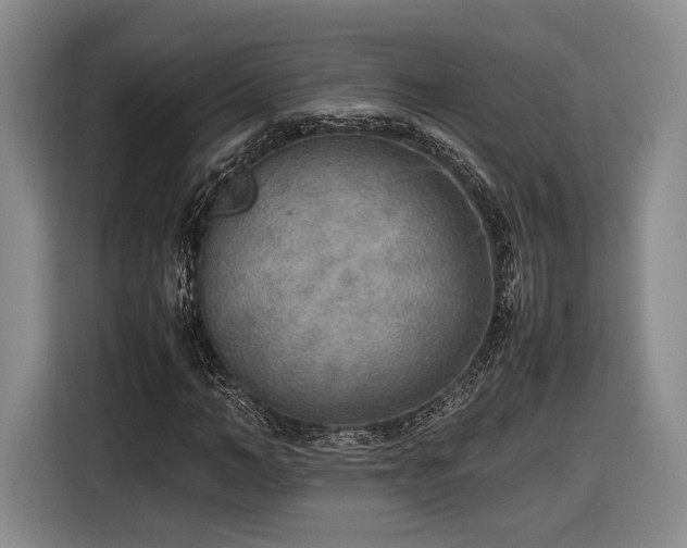 X0000116460966200912161229