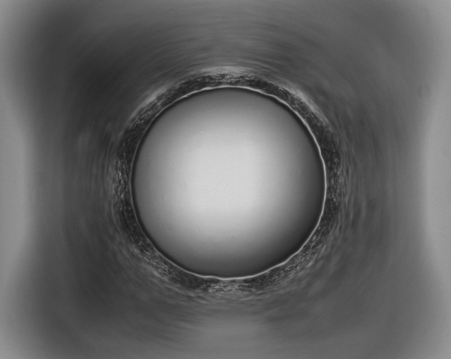 X0000116460967200912161229