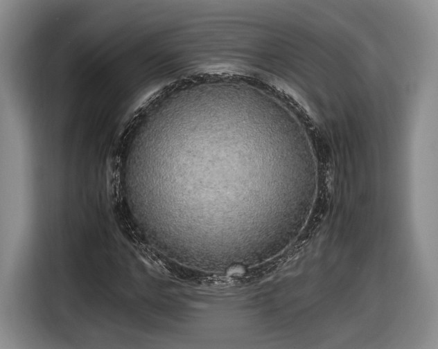 X0000116460968200912161229