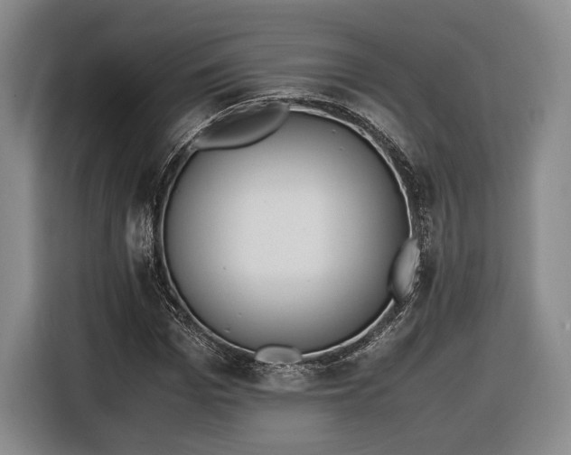 X0000116460969200912161229