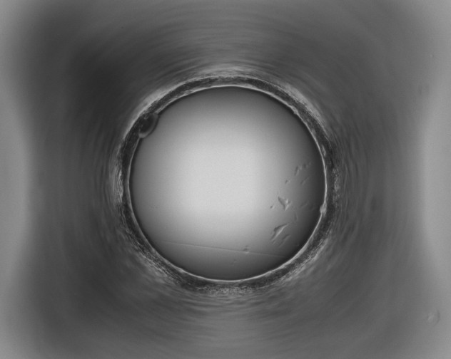 X0000116460973200912161229