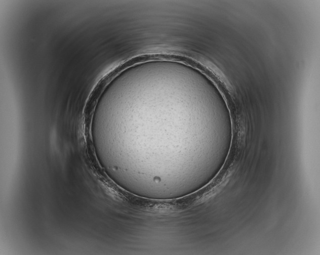 X0000116460974200912161229