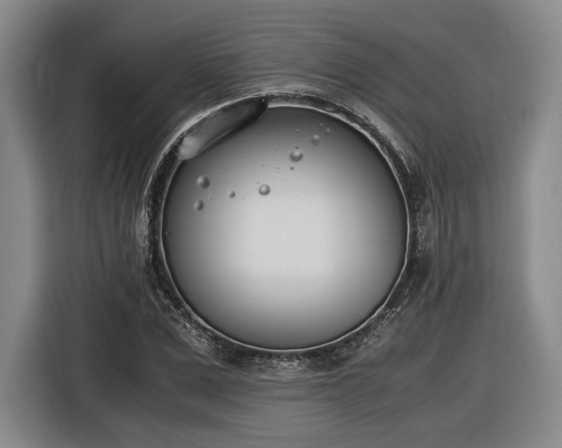 X0000116460975200912161229