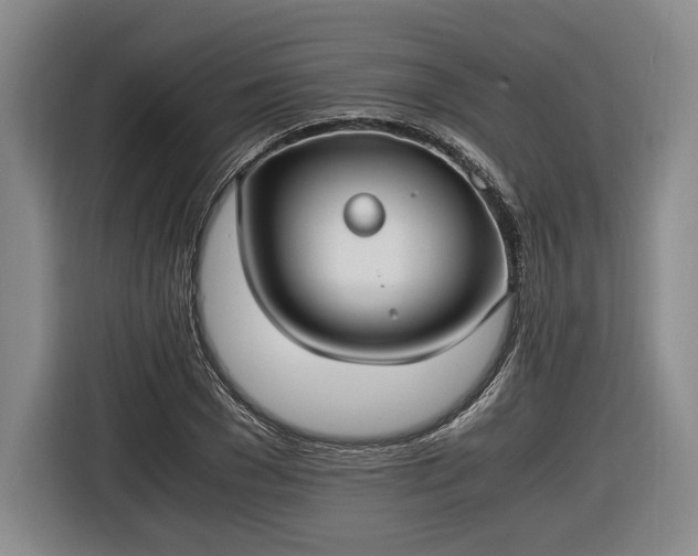 X0000116460977200912161229