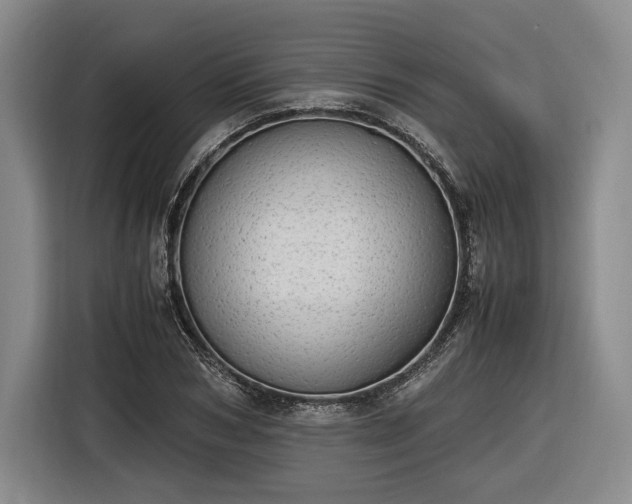 X0000116460978200912161229