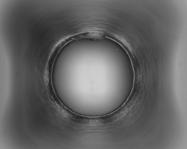 X0000116460979200912161229