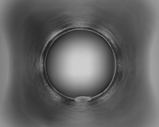X0000116460981200912161229