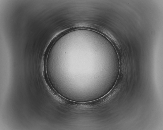 X0000116460984200912161229