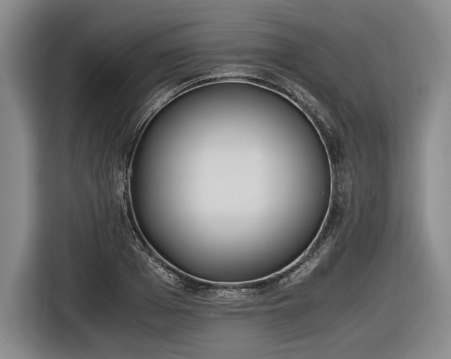 X0000116460985200912161229