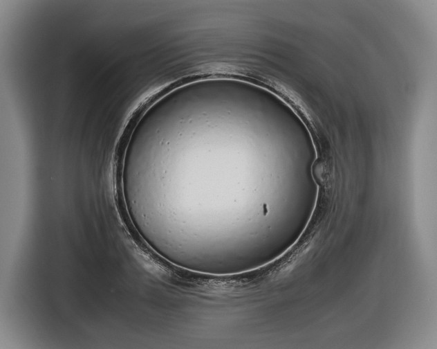 X0000116460987200912161228