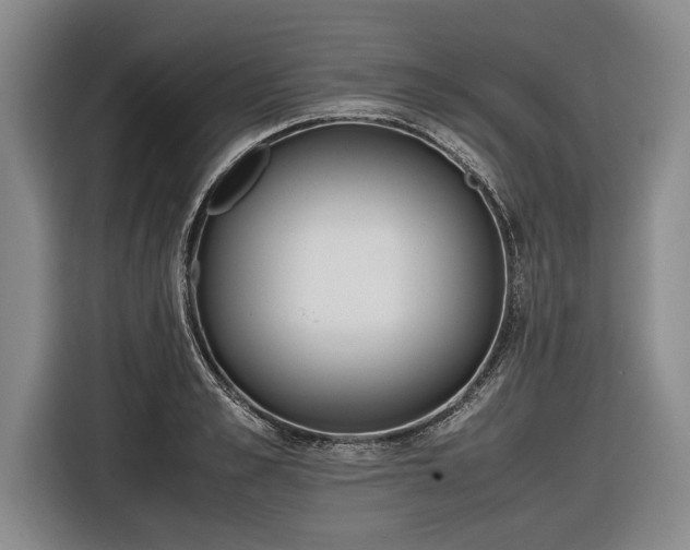 X0000116460989200912161228