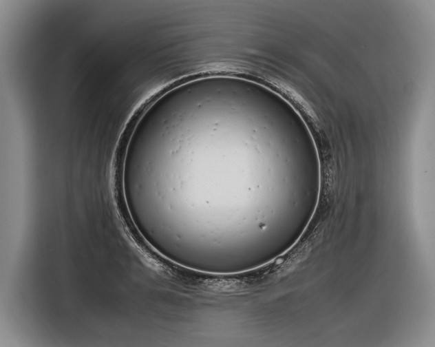 X0000116460991200912161228