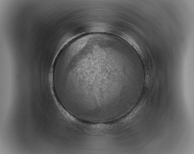 X0000116460992200912161228