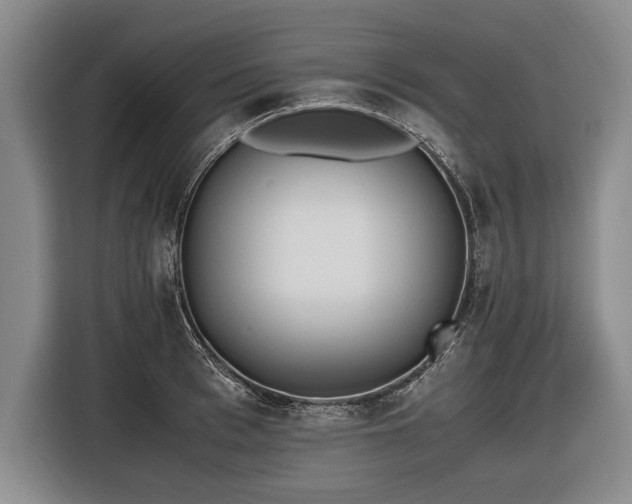 X0000116460993200912161228