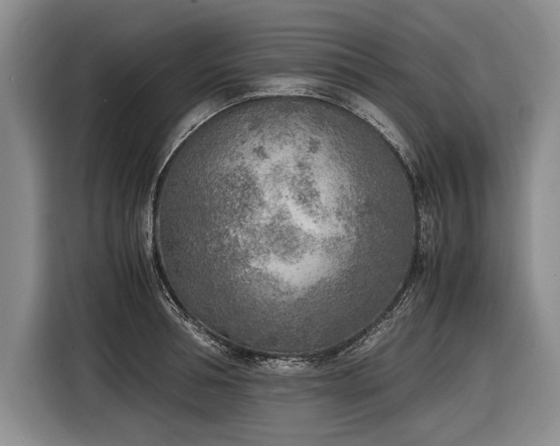 X0000116460994200912161228