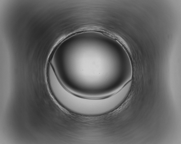 X0000116460997200912161228