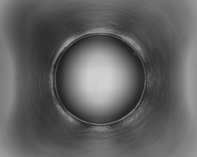 X0000116460998200912161228