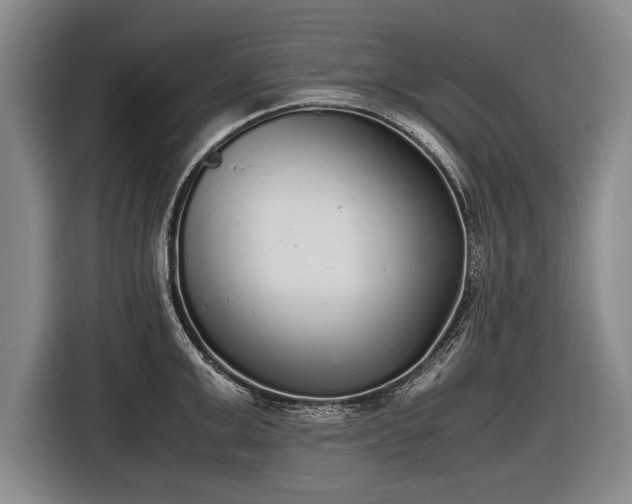 X0000116460999200912161228