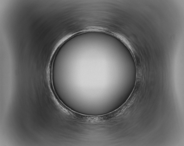 X0000116461003200912161228