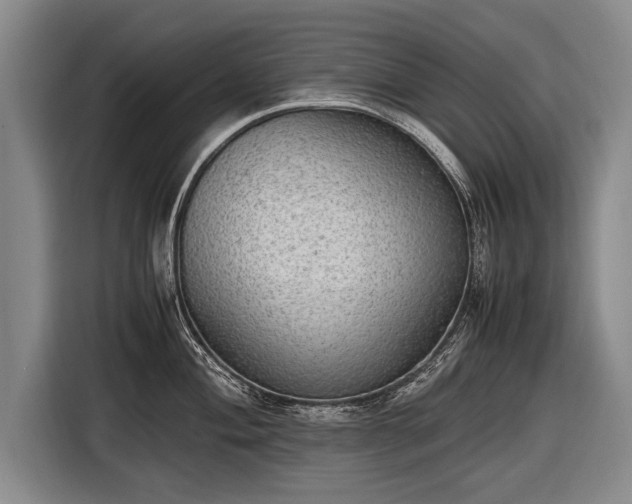 X0000116461004200912161228