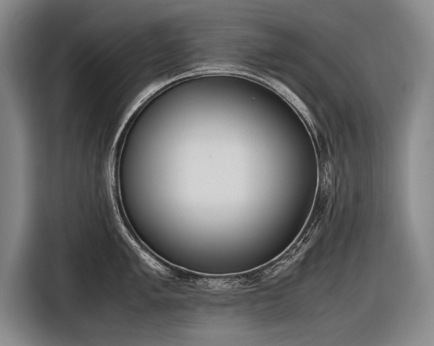X0000116461005200912161228