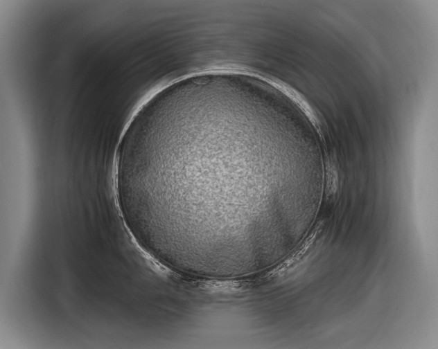 X0000116461006200912161228