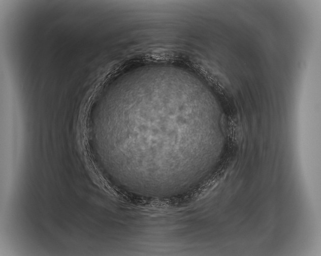 X0000116461009200912161228