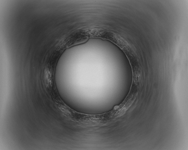 X0000116461010200912161228