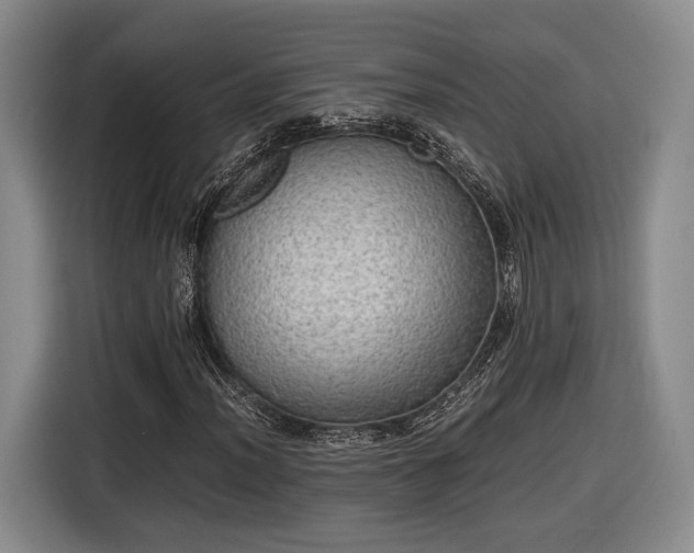 X0000116461012200912161228
