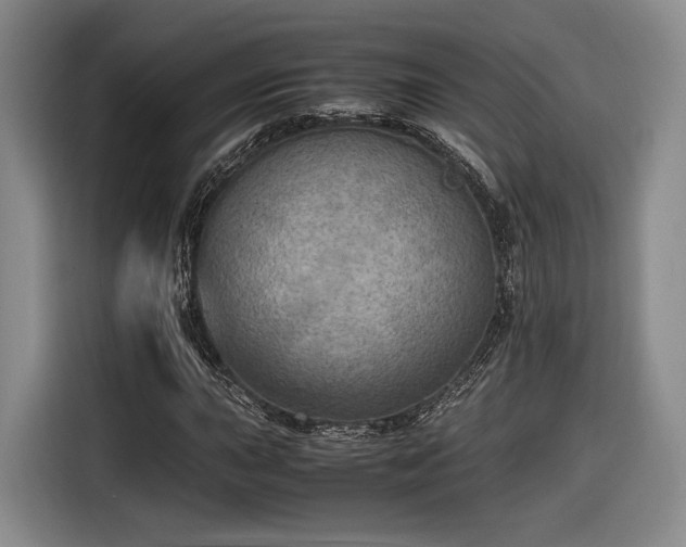 X0000116461015200912161228
