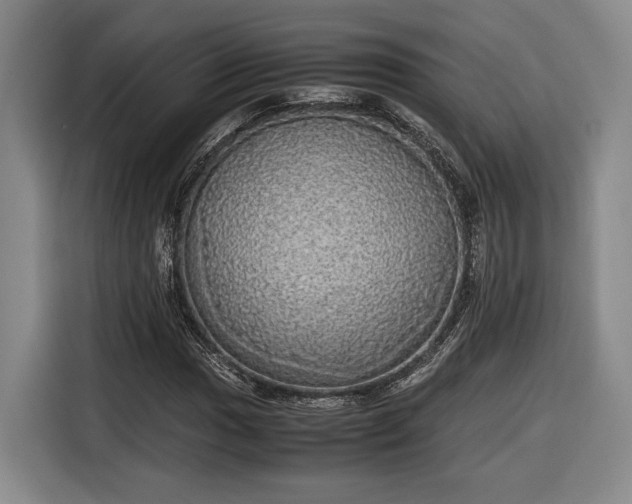 X0000116461017200912161228
